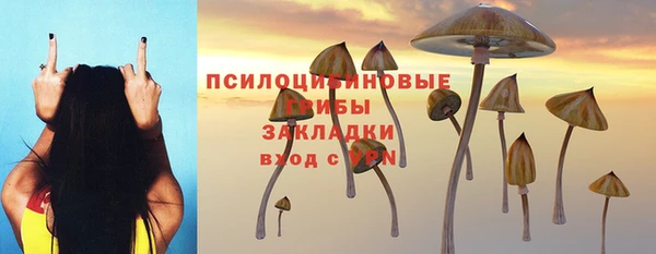 альфа пвп Вяземский