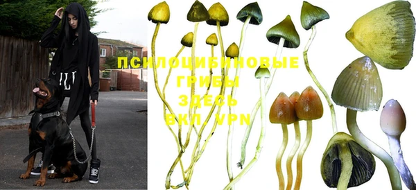 альфа пвп Вяземский