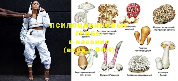 альфа пвп Вяземский