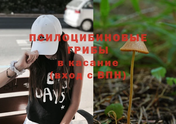 альфа пвп Вяземский