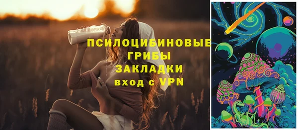 а пвп мука Вязьма