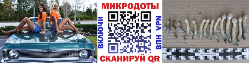 Псилоцибиновые грибы мицелий Полярный